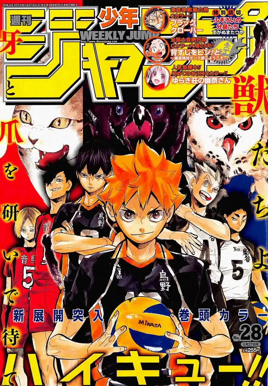 Haikyuu!! Chapter 209