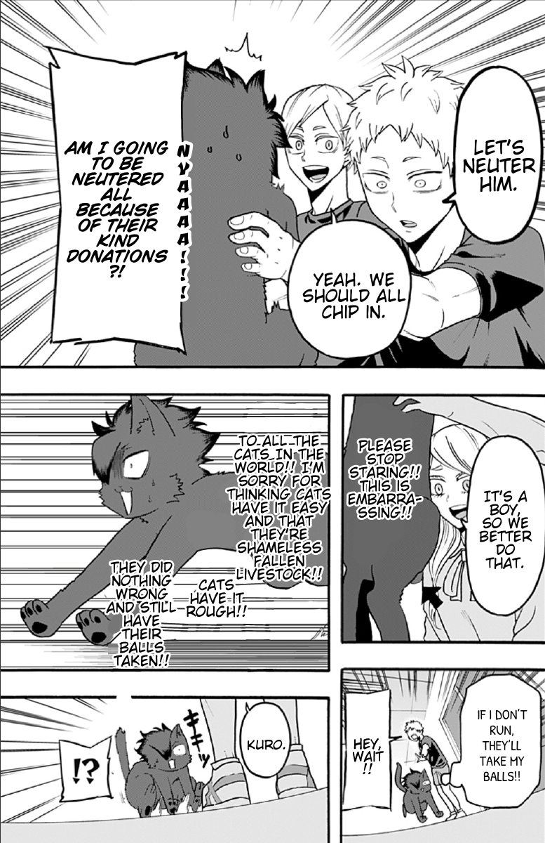 Haikyuu-bu!! Chapter 52 11