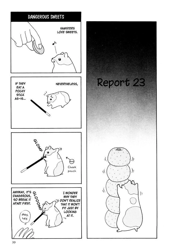 Hamster no Kenkyuu Report Chapter 16