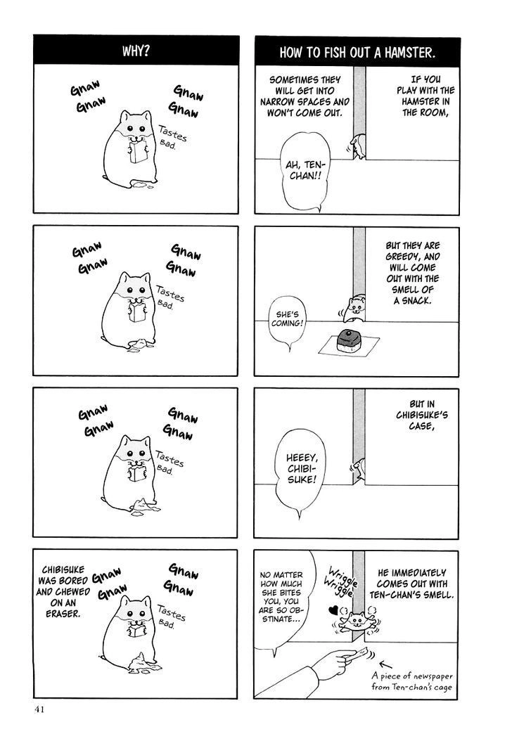 Hamster no Kenkyuu Report Chapter 16