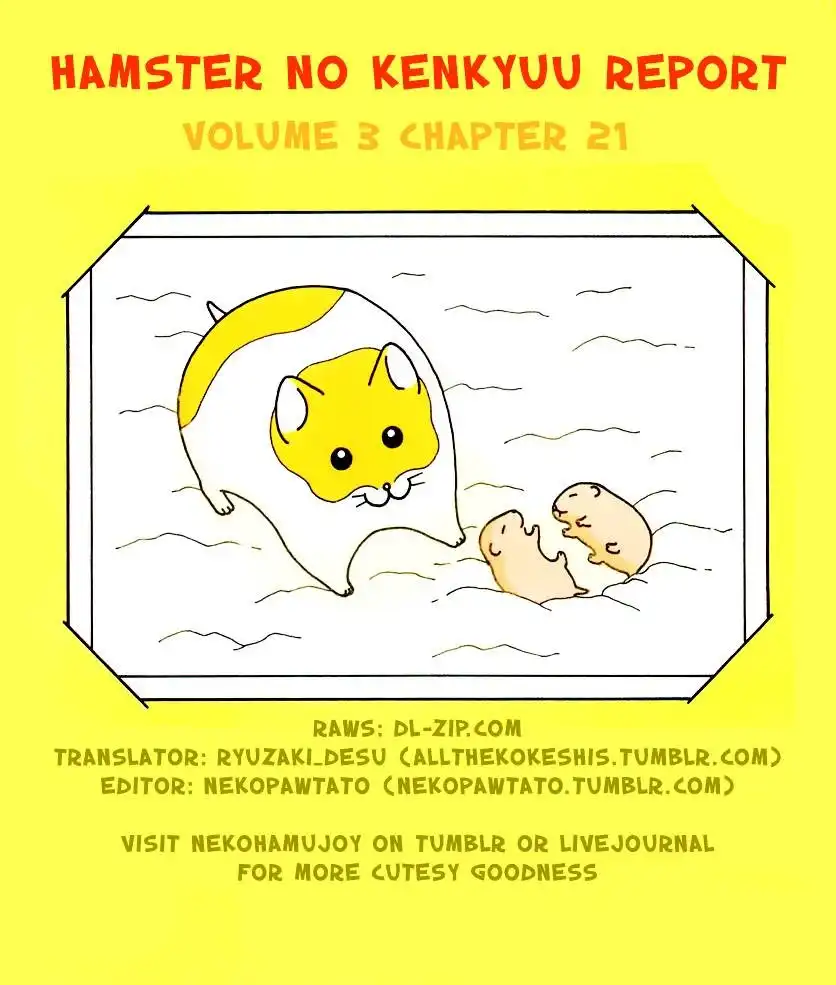 Hamster no Kenkyuu Report Chapter 21