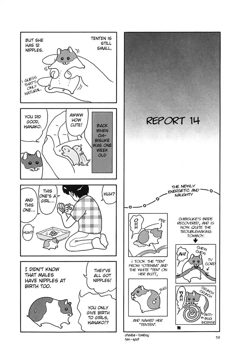 Hamster no Kenkyuu Report Chapter 5