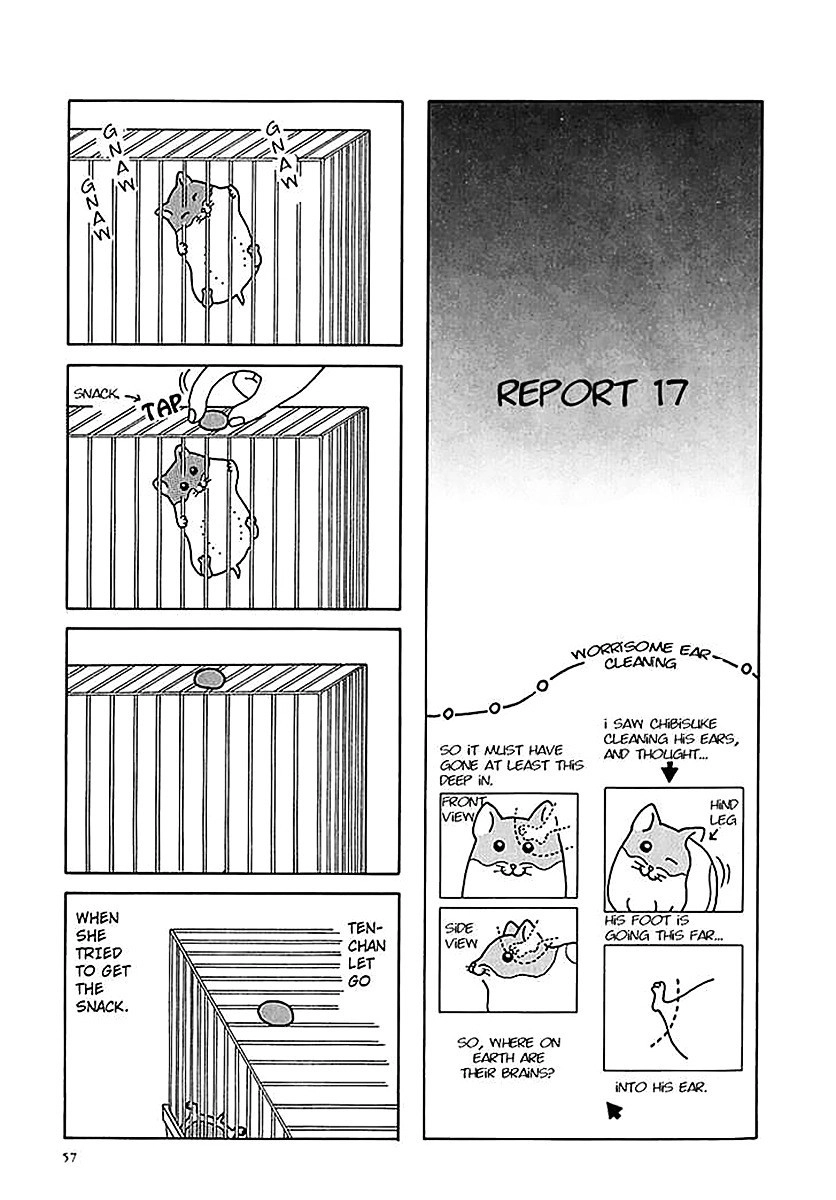 Hamster no Kenkyuu Report Chapter 6