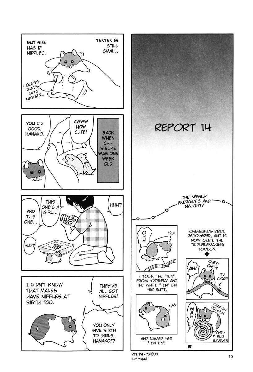 Hamster no Kenkyuu Report Chapter 6