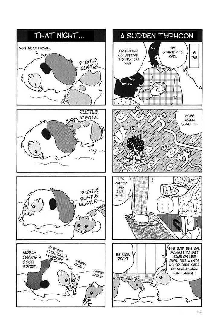 Hamster no Kenkyuu Report Chapter 7