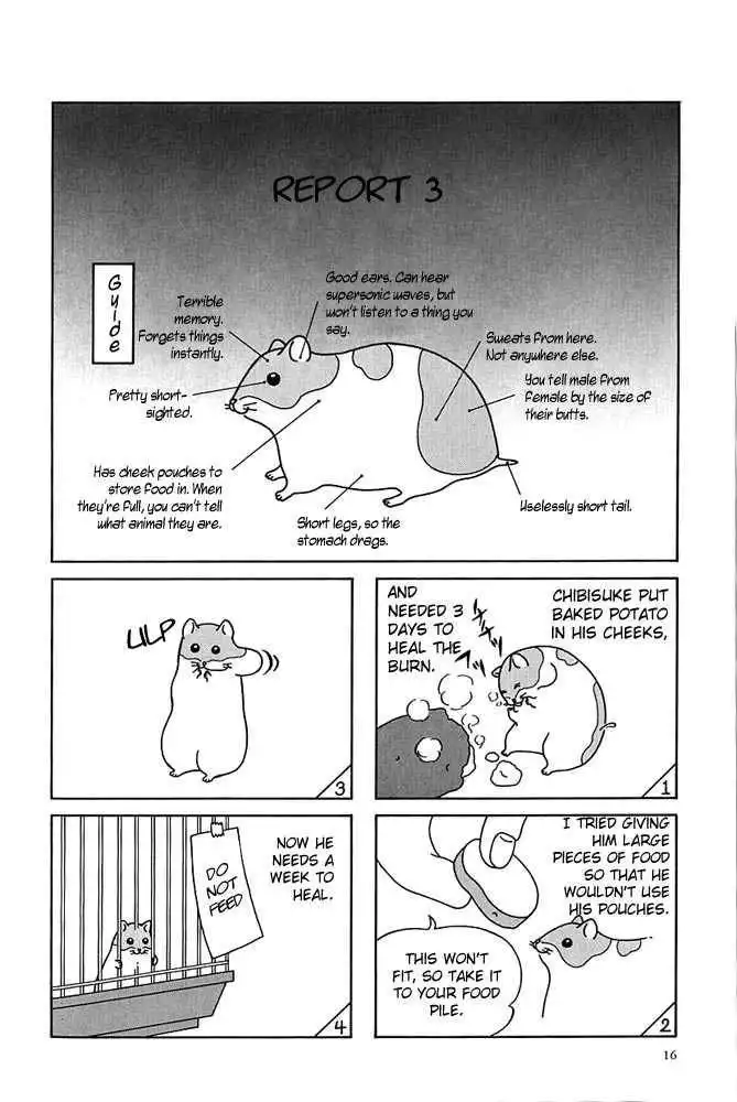 Hamster Chapter 2