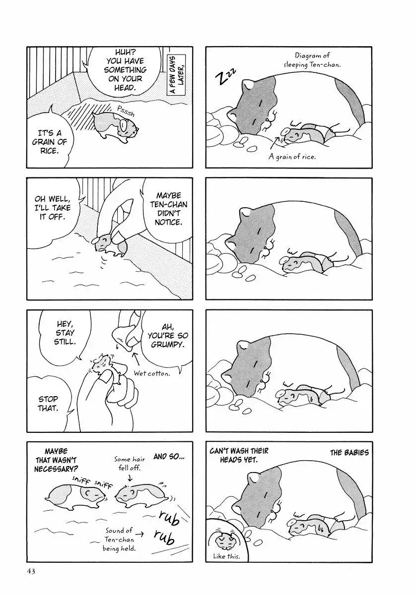 Hamster Chapter 24