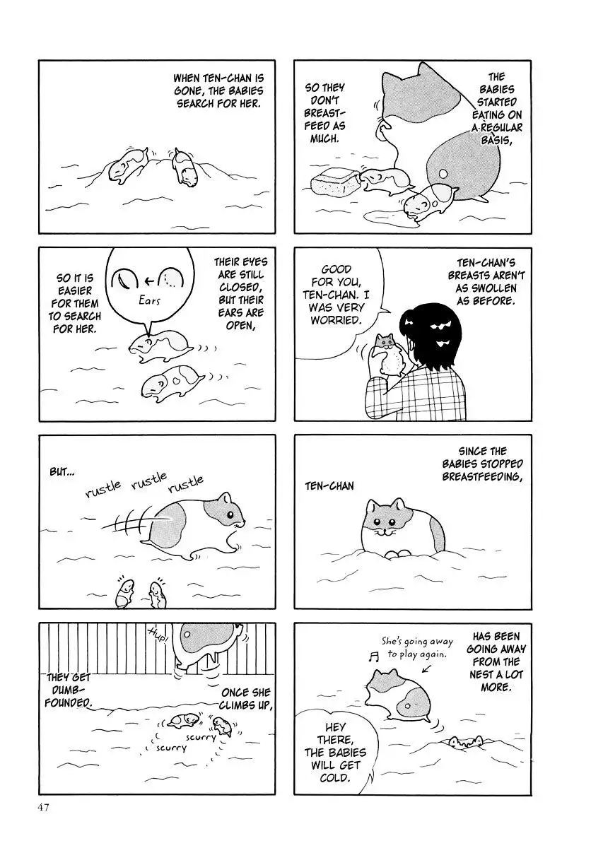 Hamster Chapter 25