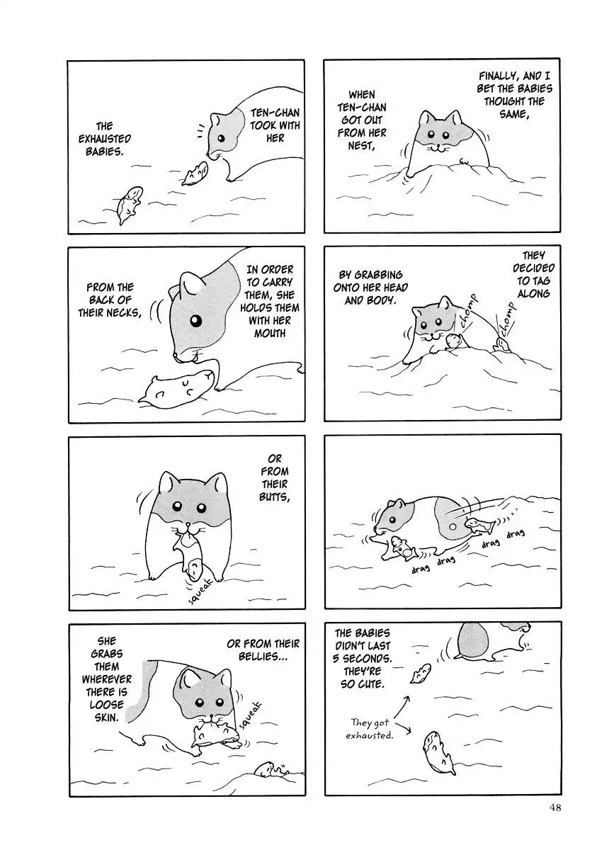 Hamster Chapter 25