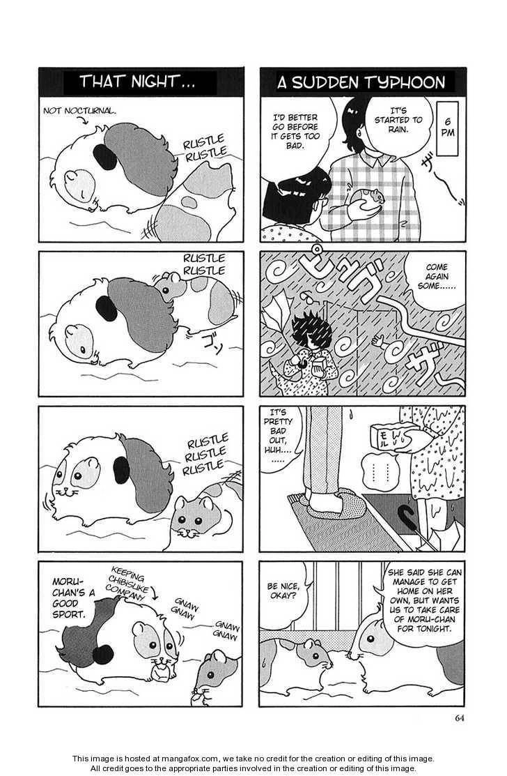 Hamster Chapter 7