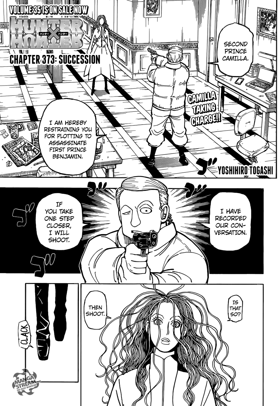 Hunter x Hunter Chapter 373