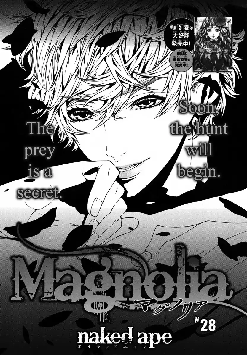 Magnolia Chapter 28