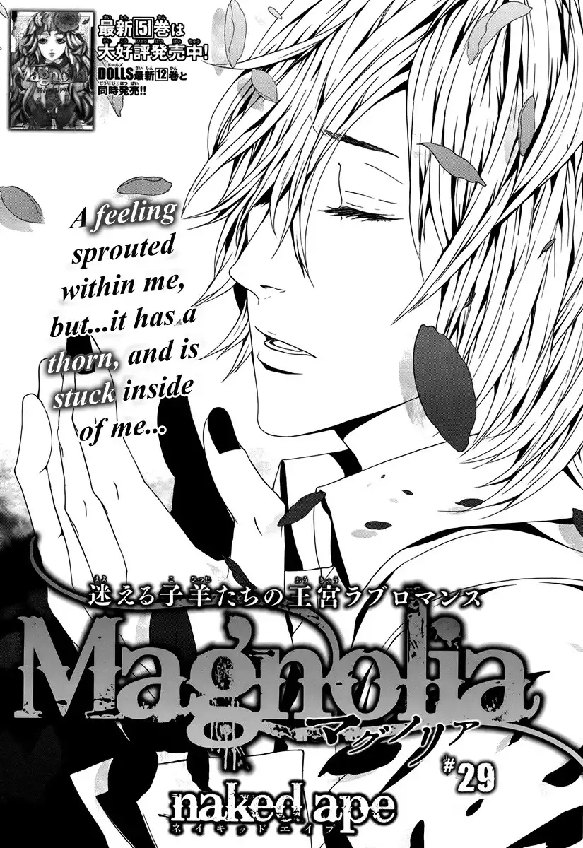 Magnolia Chapter 29