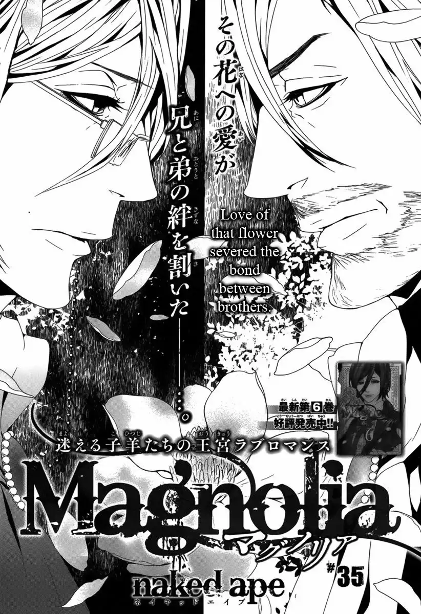 Magnolia Chapter 35