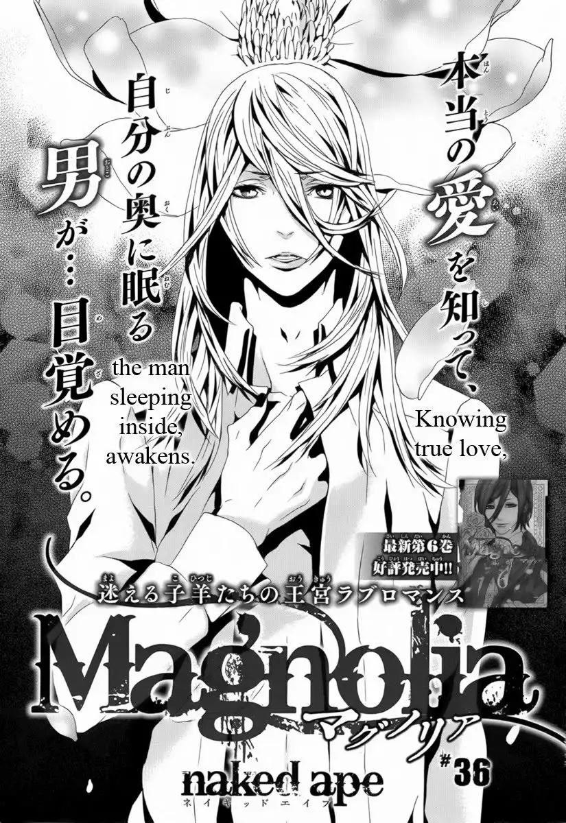 Magnolia Chapter 36