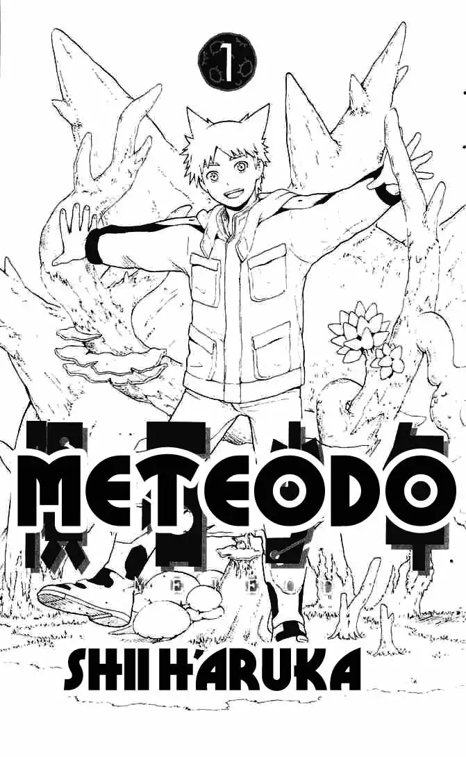 Meteodo Chapter 1